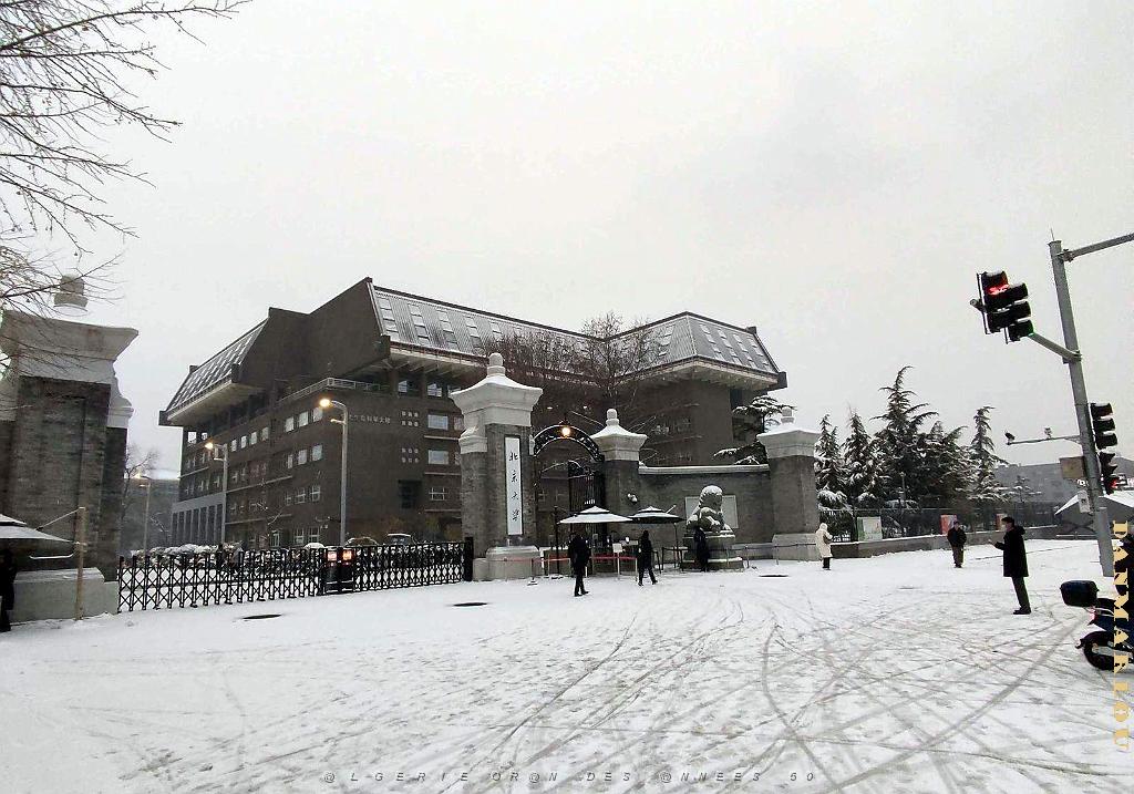 2023 12 PEKIN- UNIVERSITE LANGUES ETRANGERES SOUS LA NEIGE (15).jpg